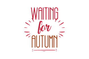 Waiting for Autumn: A Designer’s Real-World Review